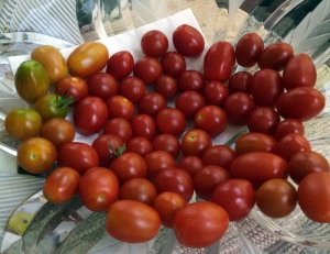 A bowl of red cherry tomatoes